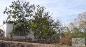 Se vende Granja en Maella junto al río Matarraña. con abastecimiento de agua por 129.000€