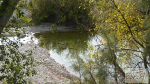 Granja en Maella junto al río Matarraña. en venta con abastecimiento de agua por 129.000€