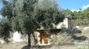 Casa en el río Tastavins, en La Portellada. a buen precio con almendros