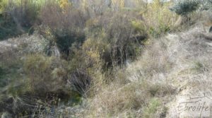 Casa en el río Tastavins, en La Portellada. a buen precio con regadío