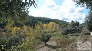 Se vende Casa en el río Tastavins, en La Portellada. con higueras