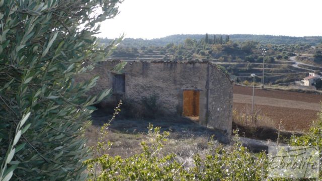 Masía en Valjunquera con olivos y almendros.