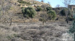 Foto de Masía en Valjunquera con olivos y almendros. con conexión a la red eléctrica por 29.000€