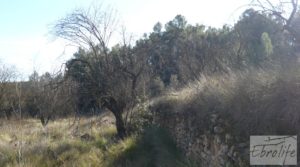 Masía en La Fresneda para vender con agua potable por 32.000€