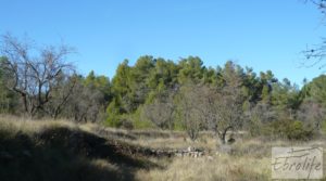 Masía en La Fresneda para vender con agua potable por 32.000€