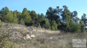 Masía en La Fresneda para vender con agua potable por 32.000€