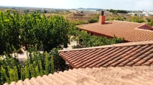 Detalle de Hacienda en Caspe con almacén