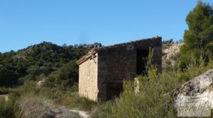 Gran olivar con masía típica en Maella. en venta con olivos en plena producción por 29.000€