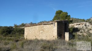 Se vende Gran olivar con masía típica en Maella. con olivos en plena producción por 29.000€