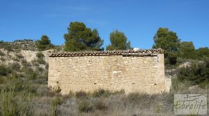 Vendemos Gran olivar con masía típica en Maella. con olivos en plena producción