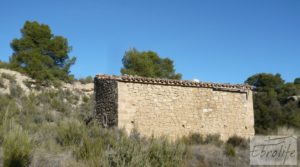 Foto de Gran olivar con masía típica en Maella. en venta con olivos en plena producción