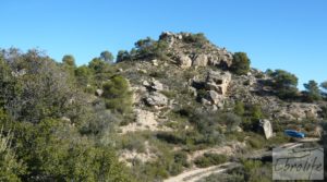 Foto de Gran olivar con masía típica en Maella. en venta con olivos en plena producción