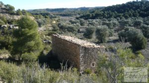 Foto de Gran olivar con masía típica en Maella. con olivos en plena producción por 29.000€