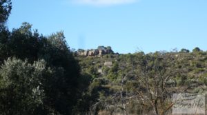 Gran olivar con masía típica en Maella. a buen precio con olivos en plena producción por 29.000€