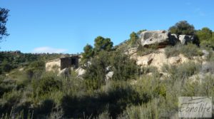 Gran olivar con masía típica en Maella. a buen precio con olivos en plena producción