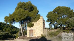 Foto de Masía de piedra en Maella. con olivos centenarios por 29.000€