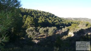 Foto de Masía de piedra en Maella. en venta con olivos centenarios