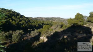 Masía de piedra en Maella. en venta con olivos centenarios por 29.000€