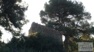 Masía de piedra en Maella. para vender con olivos centenarios