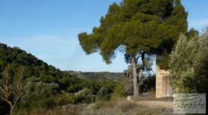 Masía de piedra en Maella. en venta con olivos centenarios