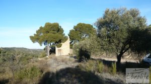 Masía de piedra en Maella. en oferta con olivos centenarios