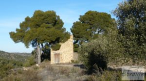 Vendemos Masía de piedra en Maella. con olivos centenarios