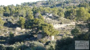 Masía de piedra en Maella. en venta con olivos centenarios