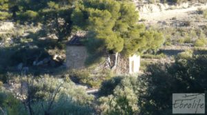 Foto de Masía de piedra en Maella. con olivos centenarios por 29.000€