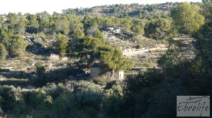 Masía de piedra en Maella. en oferta con olivos centenarios por 29.000€