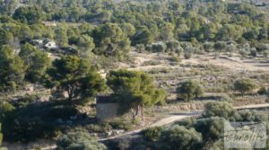 Masía de piedra en Maella. en venta con olivos centenarios