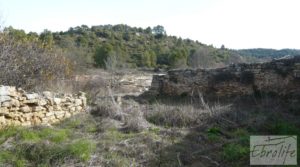 Foto de Antiguo Molino aceitero en Arens de Lledo. en venta con fosa séptica