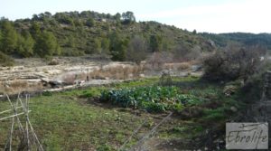 Vendemos Antiguo Molino aceitero en Arens de Lledo. con fosa séptica por 34.000€