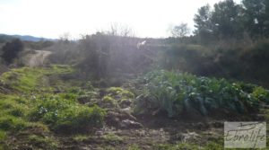 Foto de Antiguo Molino aceitero en Arens de Lledo. con fosa séptica por 34.000€