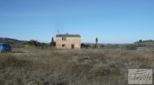 Torre en la huerta de Caspe en venta con tejados nuevos