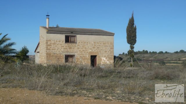 Torre en la huerta de Caspe