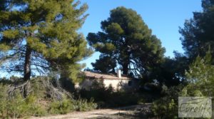 Masía de piedra típica en Arens de Lledo a buen precio con olivos centenarios por 44.000€