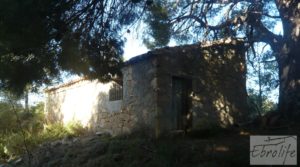 Vendemos Masía de piedra típica en Arens de Lledo con olivos centenarios por 44.000€