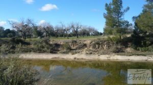 Se vende Masía de piedra típica en Arens de Lledo con olivos centenarios por 44.000€