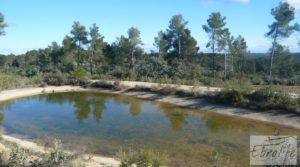 Se vende Masía de piedra típica en Arens de Lledo con olivos centenarios