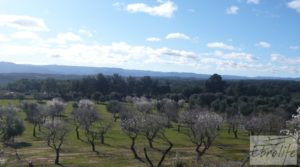 Masía de piedra típica en Arens de Lledo en venta con olivos centenarios por 44.000€