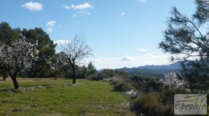 Masía de piedra típica en Arens de Lledo para vender con almendros