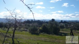 Masía de piedra típica en Arens de Lledo en venta con olivos centenarios