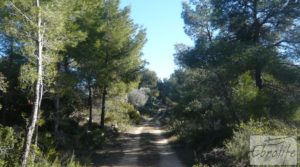 Foto de Masía de piedra típica en Arens de Lledo en venta con almendros por 44.000€