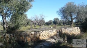 Se vende Masía de piedra típica en Arens de Lledo con almendros por 44.000€