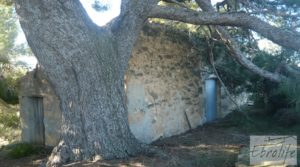 Masía de piedra típica en Arens de Lledo en venta con olivos centenarios