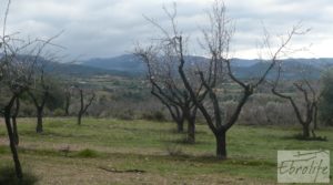 Masía histórica en Valderrobres a buen precio con bodega por 175.000€