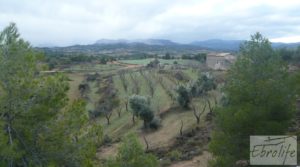 Masía histórica en Valderrobres en venta con bodega por 175.000€