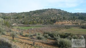 Vendemos Finca con pozo en La Fresneda con almendros y olivos