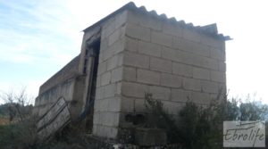 Detalle de Finca con pozo en La Fresneda con almendros y olivos