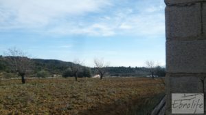 Vendemos Finca con pozo en La Fresneda con almendros y olivos